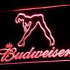 Budweiser Girl - Image 8