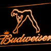 Budweiser Girl - Image 6