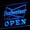Budweiser Open - Image 6