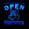 Hamm's Open - Image 7