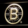 Boston Bruins