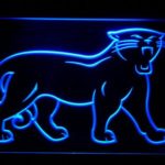 Carolina Panthers 1995-2011 Logo - Legacy Edition - Image 6