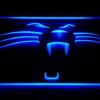 Carolina Panthers Panther