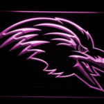 Baltimore Ravens 1996-1998 Raven Head - Legacy Edition - Image 4