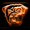 Cleveland Browns Dawg Pound - Legacy Edition