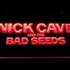 Nick Cave & the Bad Seeds - Image 8