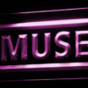 Muse - Image 8