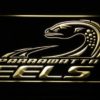 Parramatta Eels