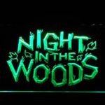 Night in the Woods - Image 2