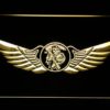 Sons of Anarchy Wings