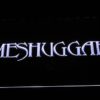 Meshuggah