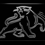 Carolina Panthers 1995-2011 - Legacy Edition - Image 8