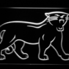 Carolina Panthers 1995-2011 Logo - Legacy Edition