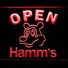 Hamm's Open - Image 8