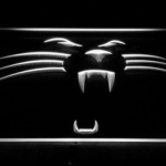 Carolina Panthers Panther - Image 8