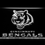 Cincinnati Bengals - Image 8
