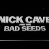 Nick Cave & the Bad Seeds - Image 7