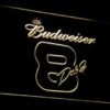 Budweiser 8 Dale Jr. - Image 8