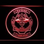 US Marine Corps 1st Light Armored Recon Battalion - Image 7