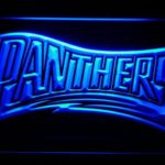 Carolina Panthers 1995 Text - Legacy Edition - Image 2