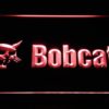Bobcat - Image 7