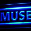 Muse - Image 7