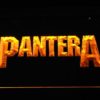 Pantera Wordmark - Image 8