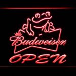 Budweiser Frog Open - Image 7