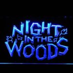 Night in the Woods - Image 3
