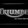 Triumph Go Your Own Way - Image 6