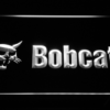 Bobcat