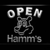 Hamm's Open - Image 6