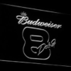 Budweiser 8 Dale Jr. - Image 3