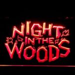 Night in the Woods - Image 4
