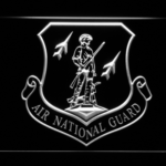 US Air Force Air National Guard Emblem - Image 6
