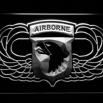 US Army 101st Airborne Division Wings - Image 6