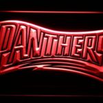 Carolina Panthers 1995 Text - Legacy Edition - Image 3