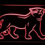 Carolina Panthers 1995-2011 Logo - Legacy Edition - Image 2