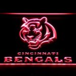 Cincinnati Bengals - Image 2