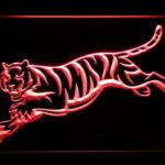 Cincinnati Bengals Tiger - Image 3