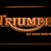 Triumph Go Your Own Way - Image 5