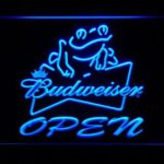 Budweiser Frog Open - Image 6