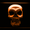 The Venture Bros. Skull