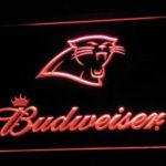 Carolina Panthers Budweiser - Image 3