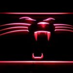 Carolina Panthers Panther - Image 3