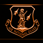 US Air Force Air National Guard Emblem - Image 5