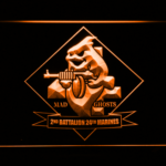 US Marine Corps 2nd Battalion 24th Marines - Image 5