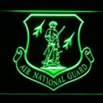 US Air Force Air National Guard Emblem - Image 4