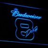 Budweiser 8 Dale Jr. - Image 2
