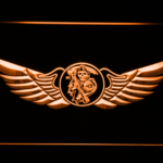 Sons of Anarchy Wings - Image 6